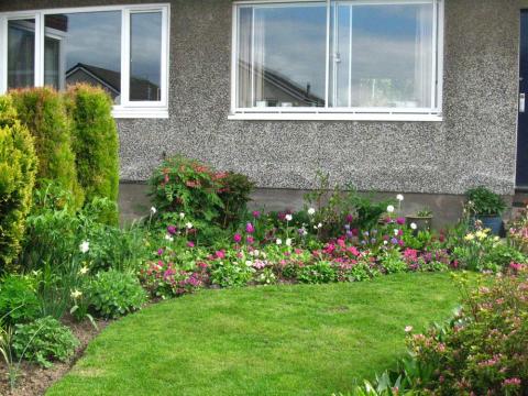 Attractive front garden in Baberton Mains Crescent with tulips and lawn