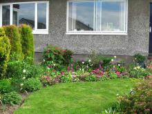 Attractive front garden in Baberton Mains Crescent with tulips and lawn