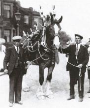 Two handlers in flat caps and cart horse
