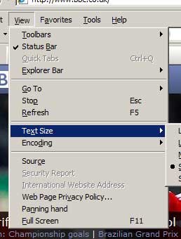 Section of Internet Explorer menu showing re-size text options