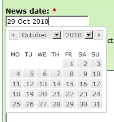 Image of a typical date input  area